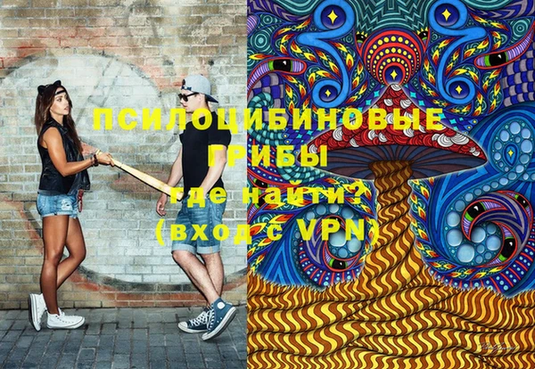 гидра Белоозёрский