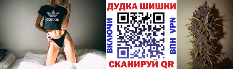Бошки Шишки SATIVA & INDICA  купить наркотик  Кола 